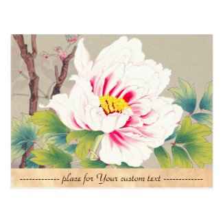 Zuigetsu Ikeda Pink Camellia japanese flower art Postcard