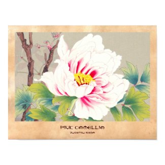 Zuigetsu Ikeda Pink Camellia japanese flower art Poster