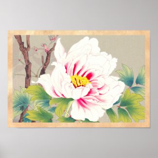 Zuigetsu Ikeda Pink Camellia japanese flower art Print
