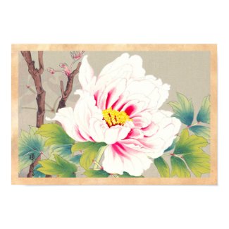 Zuigetsu Ikeda Pink Camellia japanese flower art Print