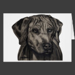 Zulu - Rhodesian Ridgeback Dog Art Greeting Card