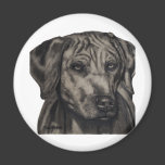 Zulu - Rhodesian Ridgeback Dog Art Fridge Magnets