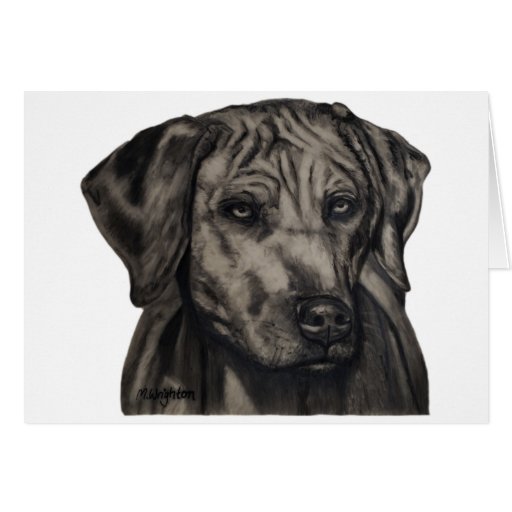 Zulu - Rhodesian Ridgeback Dog Art Greeting Card