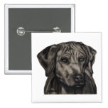 Zulu - Rhodesian Ridgeback Dog Art Pinback Button