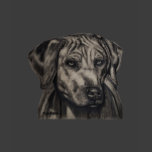 Zulu - Rhodesian Ridgeback Dog Art Tee Shirt