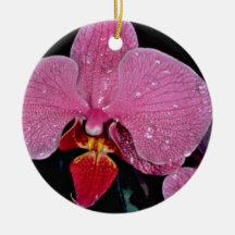 Zuma firefly  flowers christmas ornaments