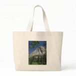 Zumwalt Meadows Cliffs Sequoia bags