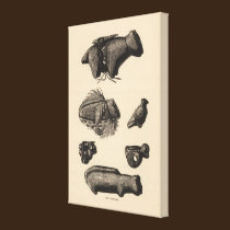 Zuni fetiches canvas prints