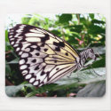 Zutterfly mousepad