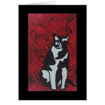 zydeco cat cards