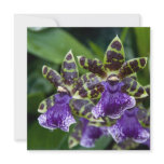 Zygopetalum Orchid Card / Invitation