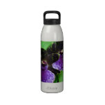 Zygopetalum Water Bottle water bottles