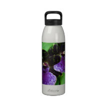Zygopetalum Water Bottle