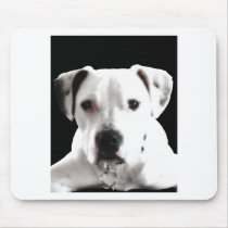 zyta!.jpg mousepads
