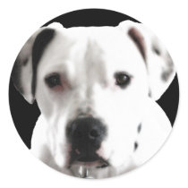 zyta!.jpg stickers