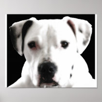 Zyta Posters