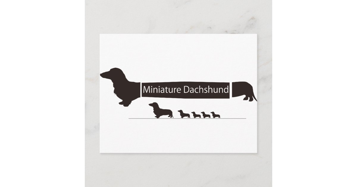 ミニチュアダックスフンドのおもしろグッズ Postcard Zazzle Com