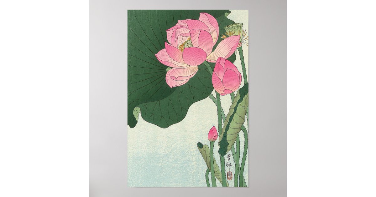 蓮の花 小原古邨 Lotus Flower Ohara Koson Ukiyo E Poster Zazzle Com