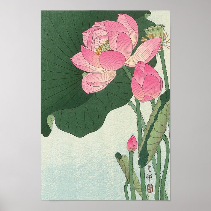蓮の花 小原古邨 Lotus Flower Ohara Koson Ukiyo E Poster Zazzle Com