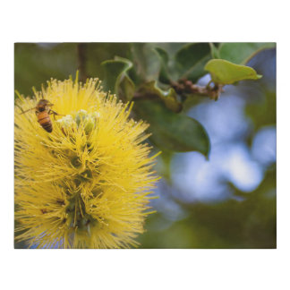 ʻOhiʻa Lehua (Yellow) Faux Canvas Print