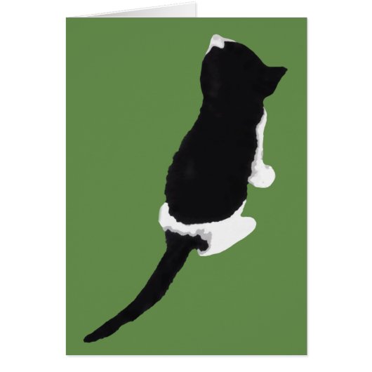 Μυξα / Myxa (a kitten from Zakynthos) Cards (Front)