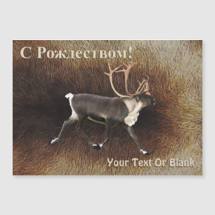 С Рождеством - Bull Caribou (Reindeer)