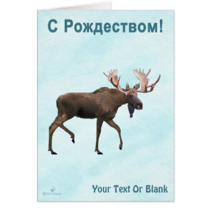 С Рождеством - Bull Moose On Snow Cards