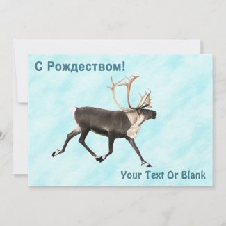 С Рождеством - Caribou (Reindeer) On Snow 