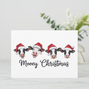 Сute Christmas Cows Mooey Xmas Heifer Highland Cow Holiday Card