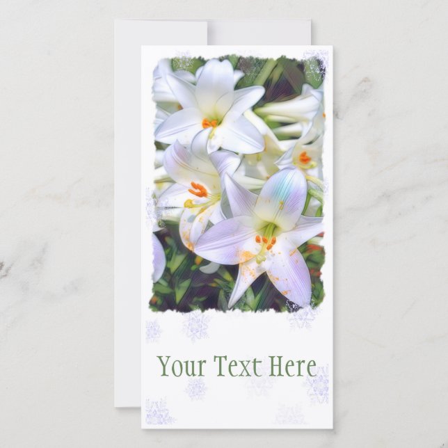 イースターリリー [ユリ] ANNOUNCEMENT (Front)