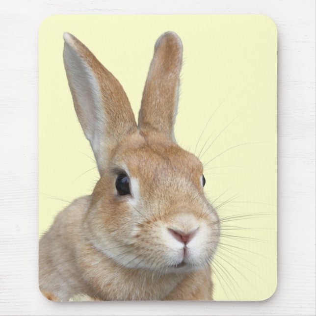 ウサギの顔 MOUSE PAD (Front)