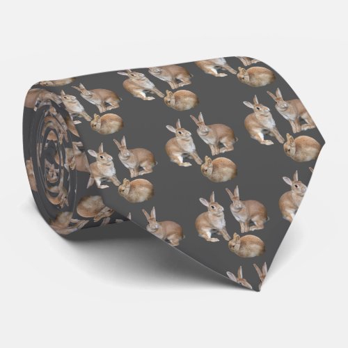 ウサギ Alices Adventures in Wonderland  Tie