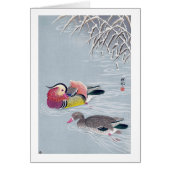 オシドリ, 小原古邨 Mandarin duck, Ohara Koson, Ukiyo-e (Front)