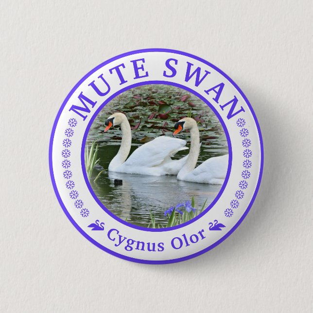コブハクチョウ 缶バッジ BUTTON (Front)