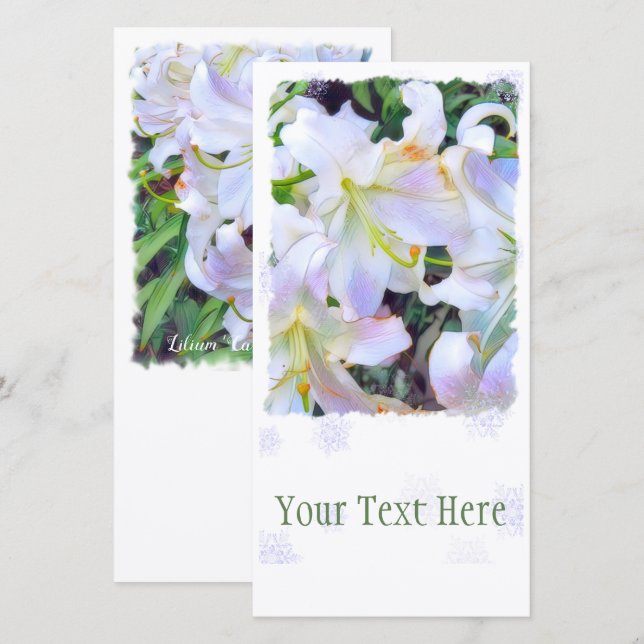 サ ブ ラ ン [ユ ANNOUNCEMENT (Front/Back)