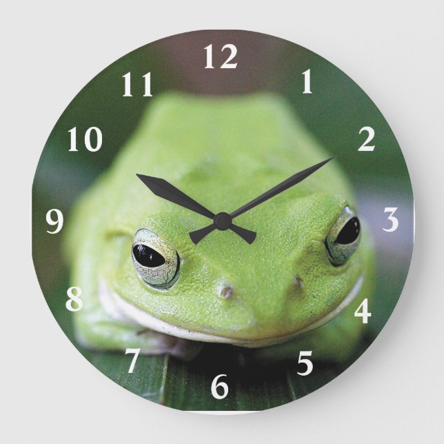 シュレーゲルアオガエルの掛け時計 LARGE CLOCK (Front)