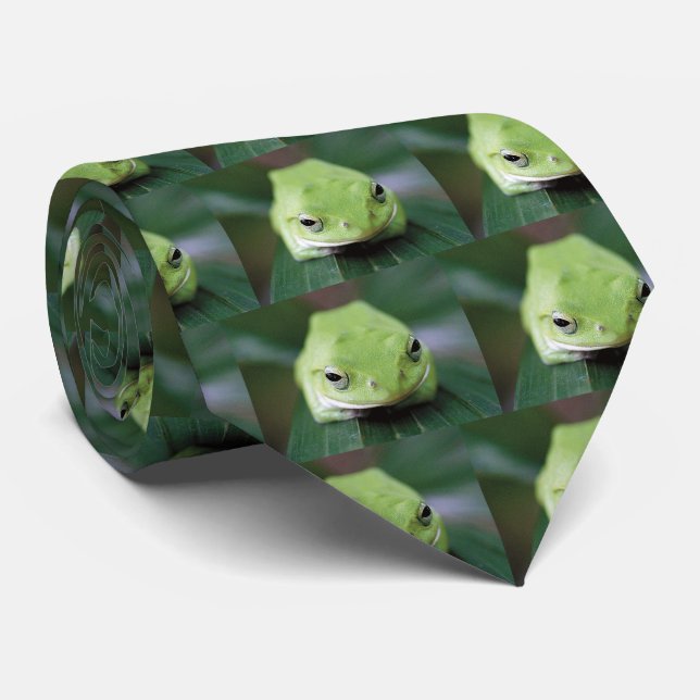 シュレーゲルアマガエル NECK TIE (Rolled)
