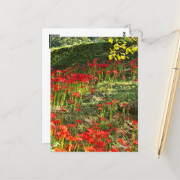 ヒガンバナ POSTCARD