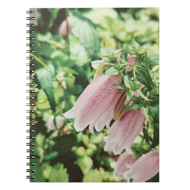 ホタルブクロ　フォトノートブック NOTEBOOK (Front)