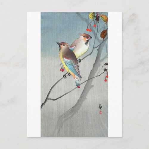 レンジャクと赤い実 古邨 Waxwings with Red berries Koson Postcard