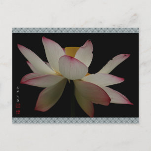 「京都立本寺の蓮」"Lotus at Kyoto Ripponji Temple" Postcard