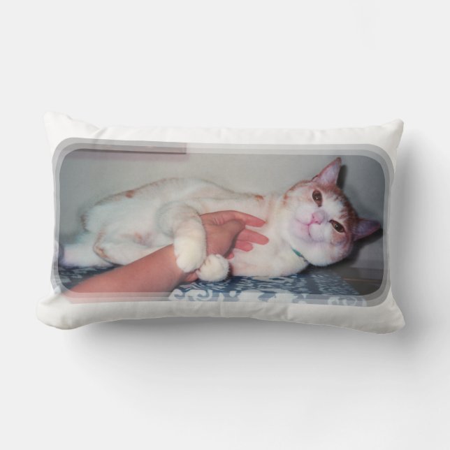 可愛い猫["You can hold me often" a cat 'kawaii'] Lumbar Pillow (Front)