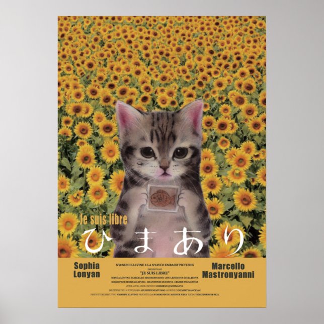 映 画 パ ロ ィ ひ if the symptoms デ. poster (Front)
