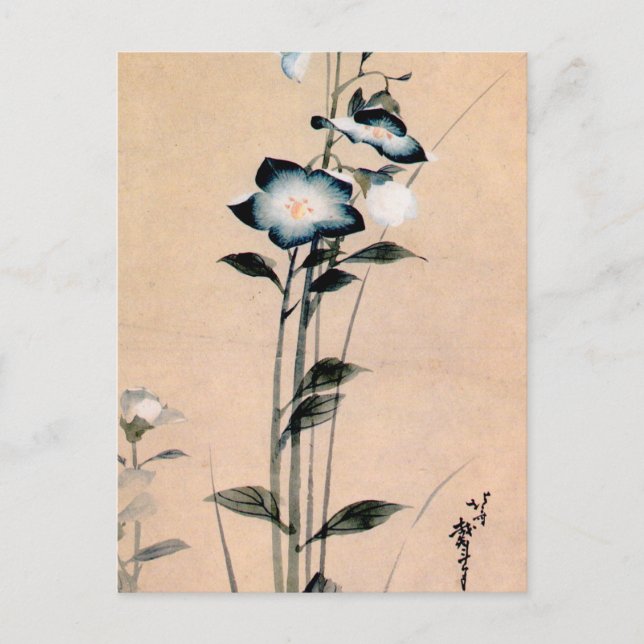 桔梗, 北斎 Chinese bellflower, Hokusai Ukiyo-e Postcard (Front)