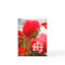 母 Japanese Symbol for Mother, Mothers Day Card