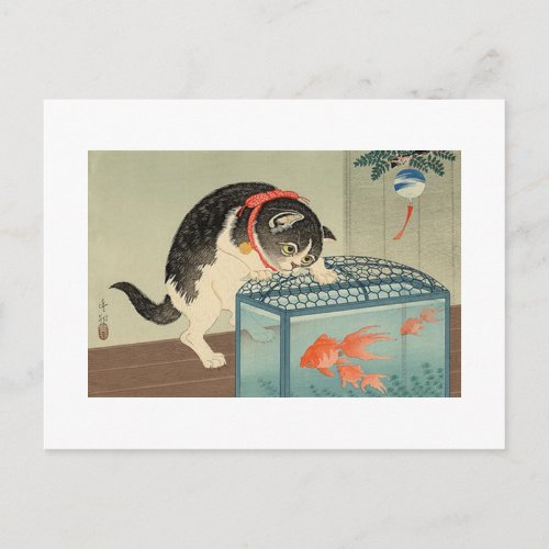 猫と金魚 古邨 Cat  Goldfish Koson Ukiyo_e Postcard