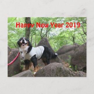 花音2019年賀状 POSTCARD