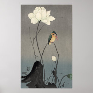 蓮にカワセミ, 古邨 Kingfisher on Lotus, Koson, Ukiyo-e Poster