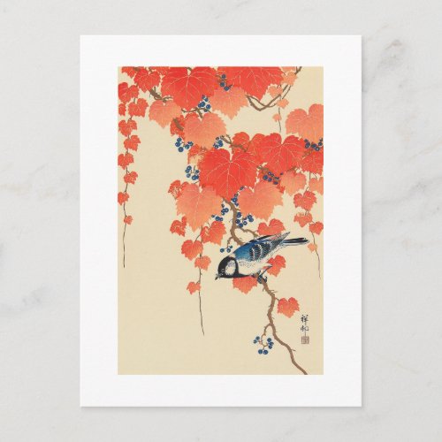 赤い蔦に鳥 古邨 Bird on Red Ivy Koson Ukiyo_e Postcard