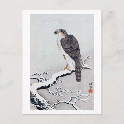 雪に鷹 古邨 Hawk on Snow covered branch Ohara Koson Postcard